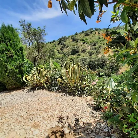 Holiday home Casa Arroyo - Rosa & Nispero *